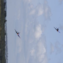 RDMFC Open Weekend 02.08.2025